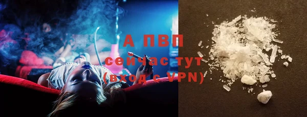 крисы Богданович