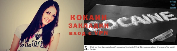 тгк Богородицк