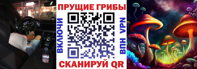 Псилоцибиновые грибы прущие грибы  наркота  Беломорск 