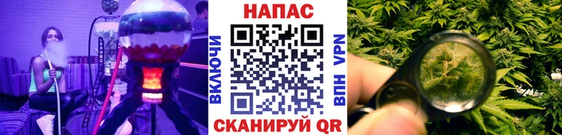 Шишки марихуана планчик  Беломорск 